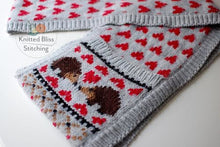 Load image into Gallery viewer, Hedgehog Scarf Pattern